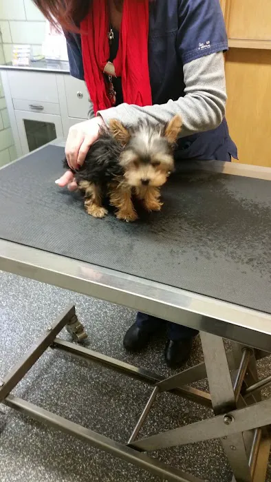 Lansing Animal Hospital 6
