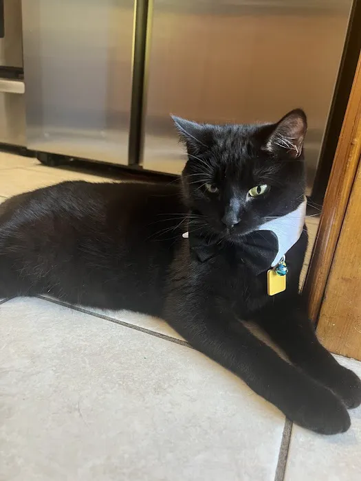 Lansing Animal Hospital 5