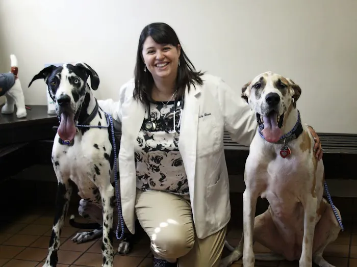 Glenwood Village Pet Hospital 5
