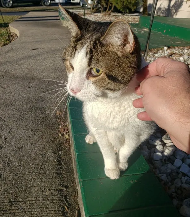 Glenwood Village Pet Hospital 1