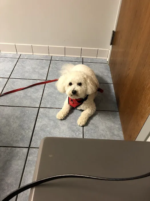 St John Animal Clinic 3