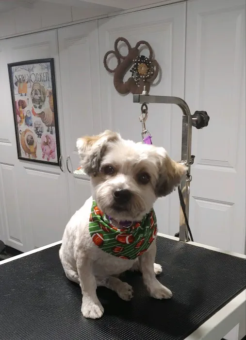 Glen Park Animal Hospital 12
