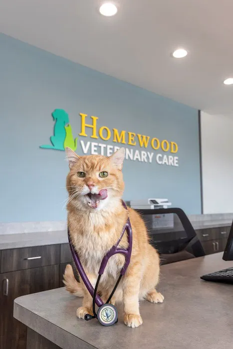 Homewood Veterinary Care 2