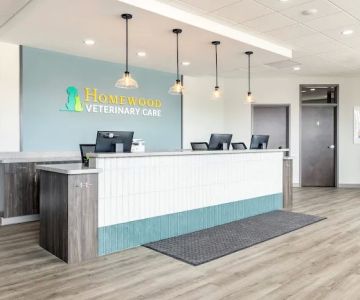 Homewood Veterinary Care
