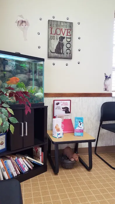 Merrillville Animal Hospital - Dr. Alicia Gustafson DVM 5