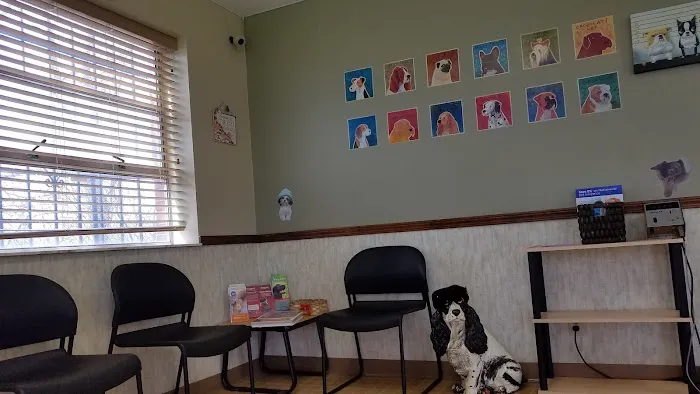 Merrillville Animal Hospital - Dr. Alicia Gustafson DVM 9