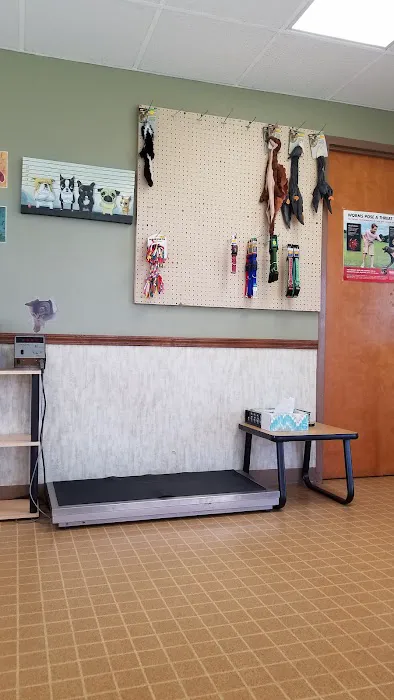 Merrillville Animal Hospital - Dr. Alicia Gustafson DVM 6