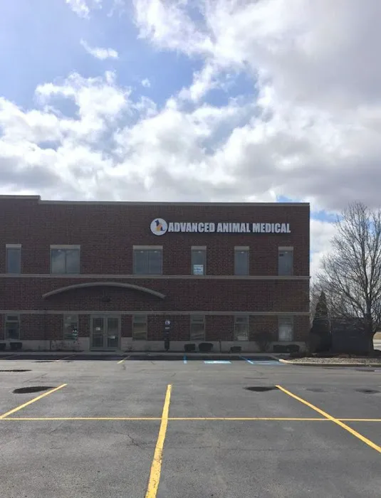 Advanced Animal Medical - A Full Service Pet Hospital 12