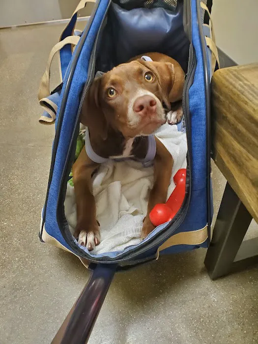Vetco Total Care Animal Hospital 5