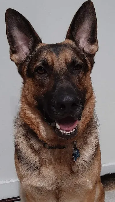 Broadway Pet Hospital 12