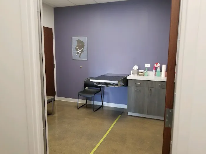 Glensted Pet Clinic 6