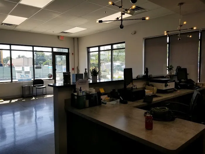 Glensted Pet Clinic 5