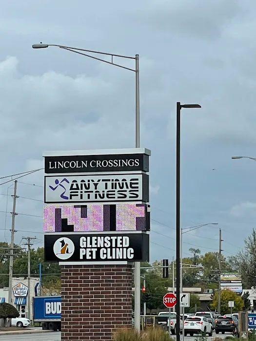 Glensted Pet Clinic 4