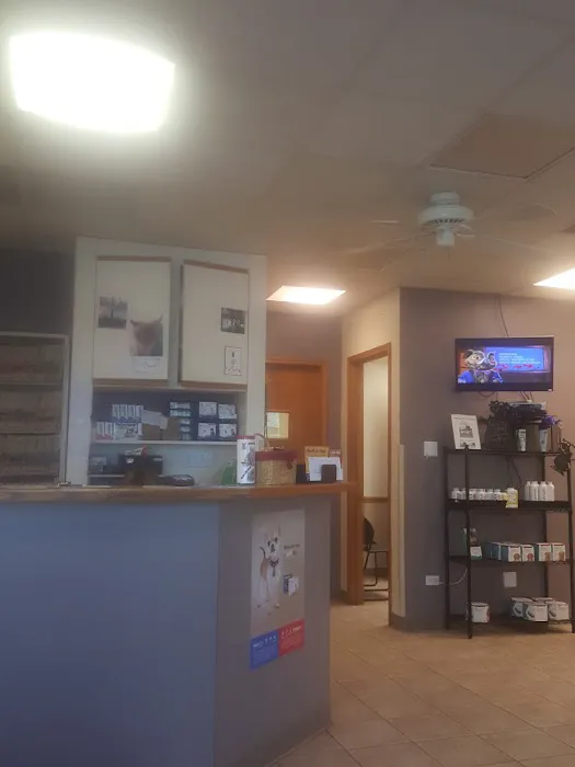 Glensted Pet Clinic 3