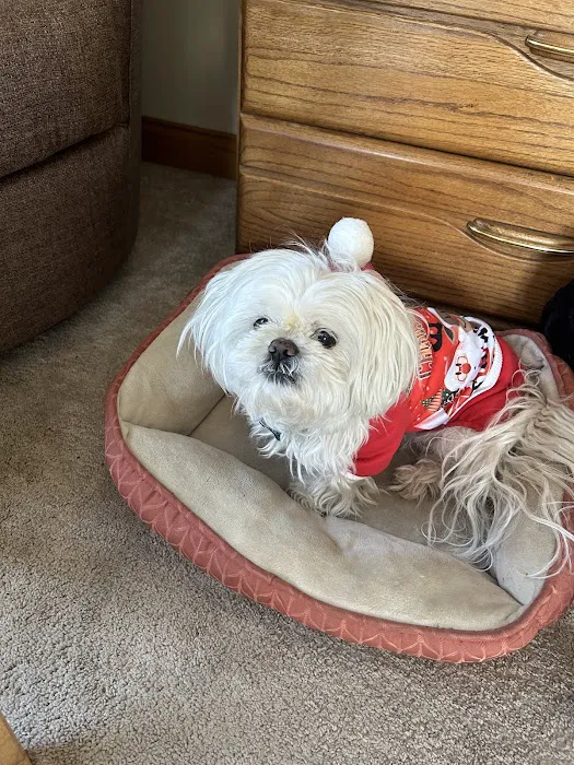 Glensted Pet Clinic 9