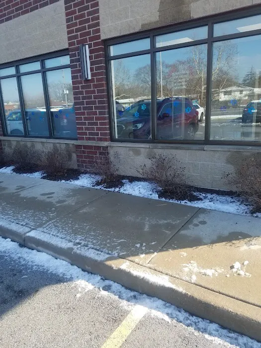Glensted Pet Clinic 7