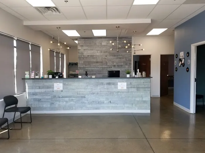 Glensted Pet Clinic 10