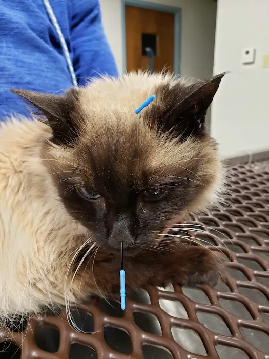 Southlake Animal Hospital PC 12