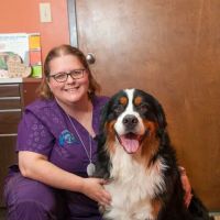 Southlake Animal Hospital PC ico