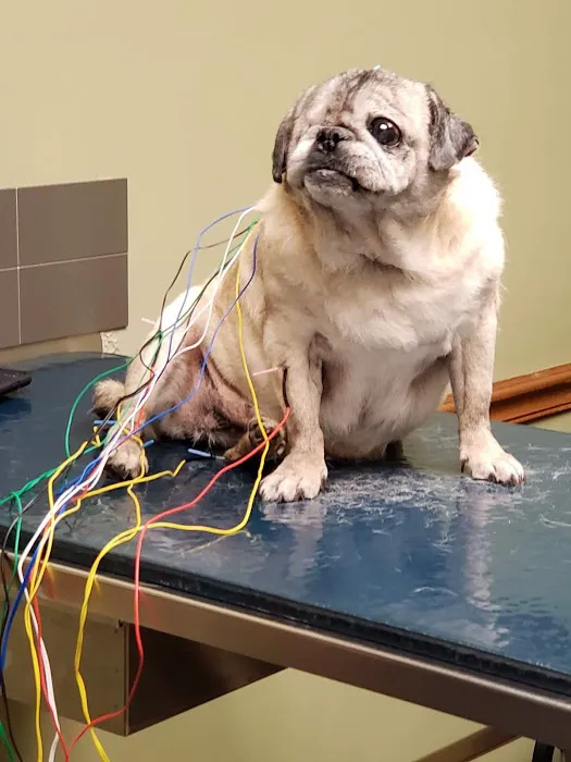 Southlake Animal Hospital PC 12