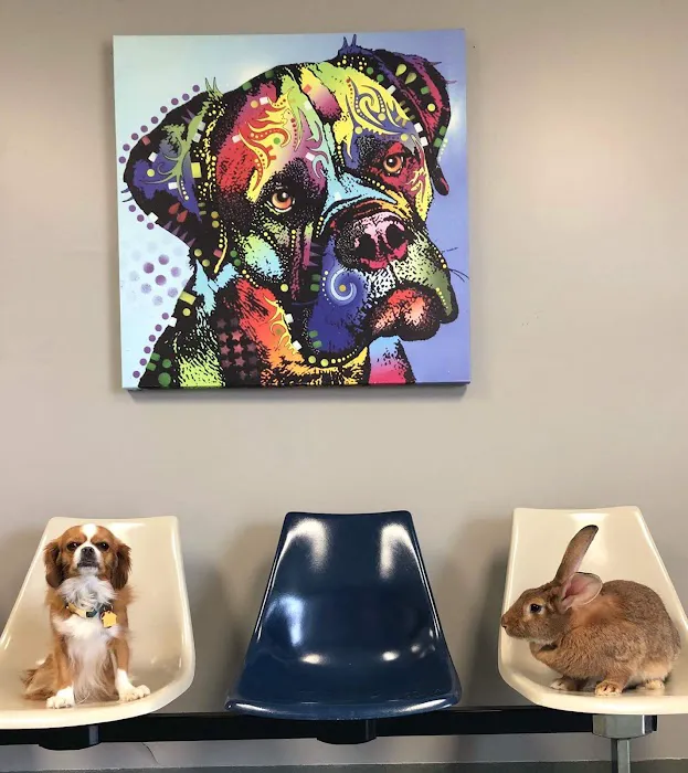 Southlake Animal Hospital PC 12