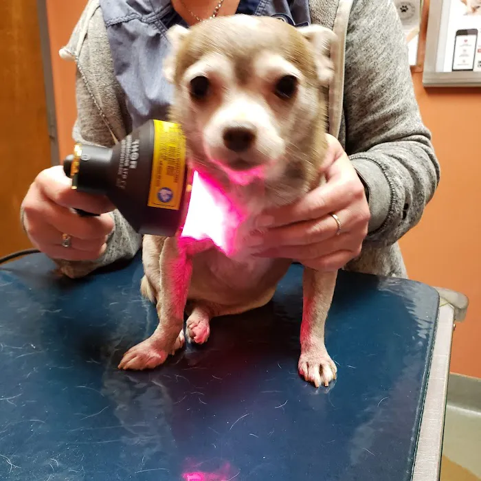 Southlake Animal Hospital PC 12