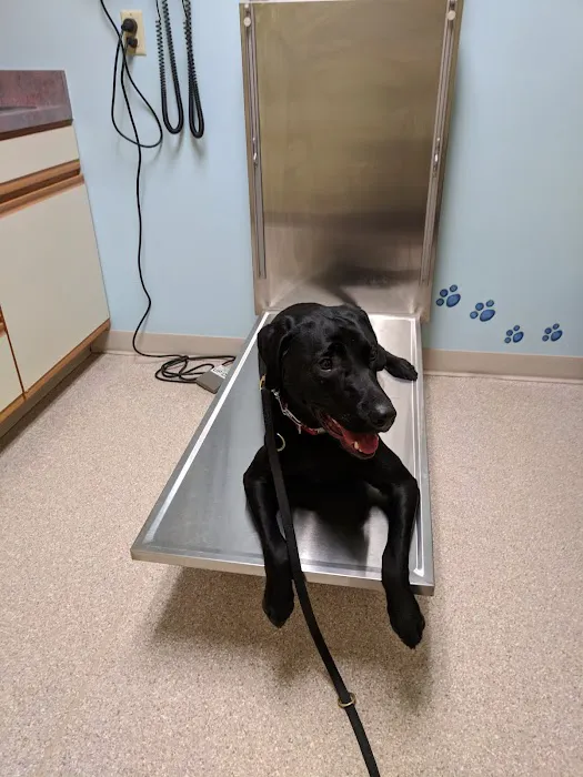 Hanover Veterinary Hospital 12