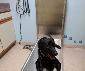 Hanover Veterinary Hospital