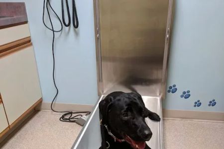 Hanover Veterinary Hospital