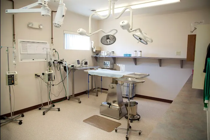 Hanover Veterinary Hospital 12