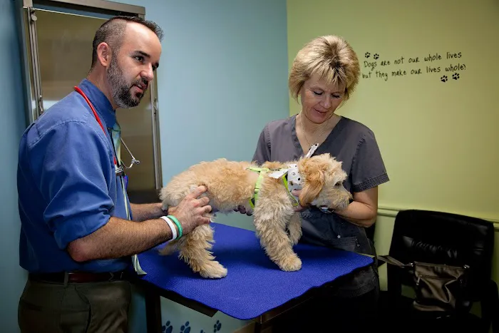 Hanover Veterinary Hospital 12