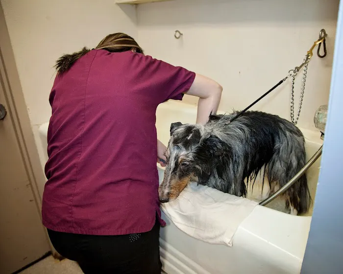 Hanover Veterinary Hospital 12