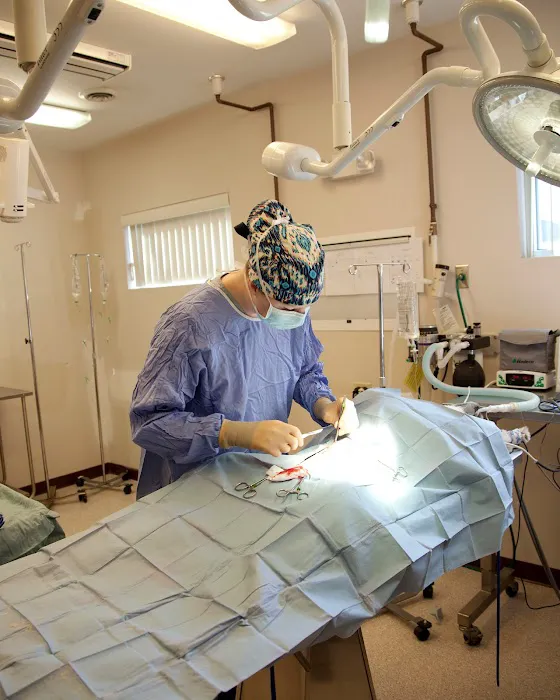 Hanover Veterinary Hospital 12