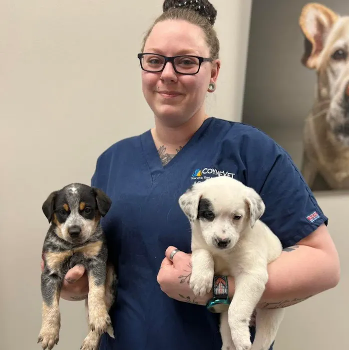 Coyne Veterinary Center - St. John 12