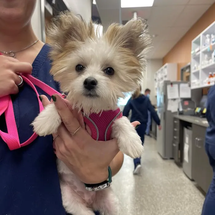 Coyne Veterinary Center - St. John 12