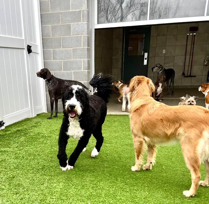 Coyne Veterinary Center - St. John 12