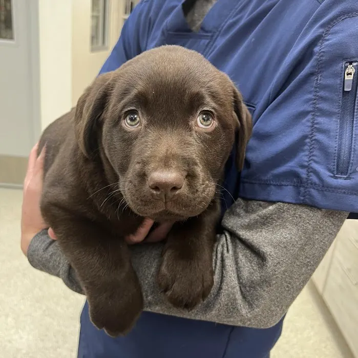 Coyne Veterinary Center - Crown Point 12