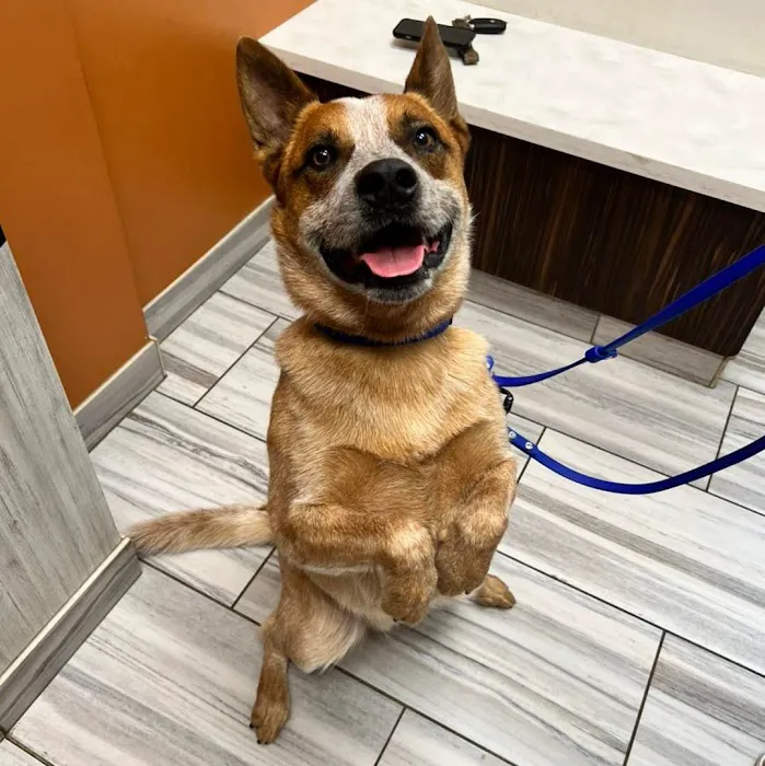 Coyne Veterinary Center - Crown Point 12