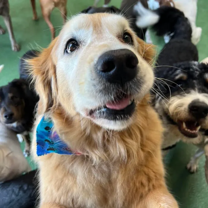 Coyne Veterinary Center - Crown Point 12