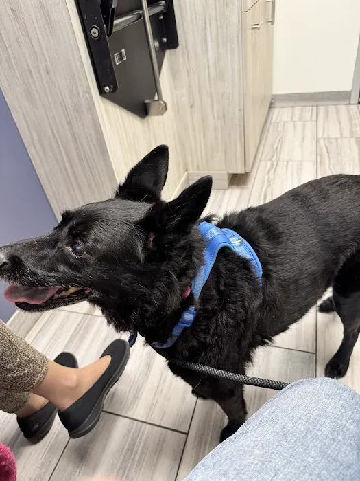 Coyne Veterinary Center - Crown Point 12
