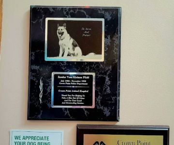Crown Point Animal Hospital