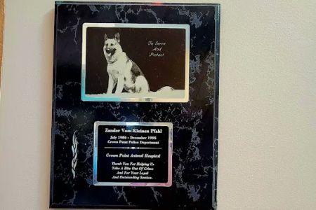Crown Point Animal Hospital