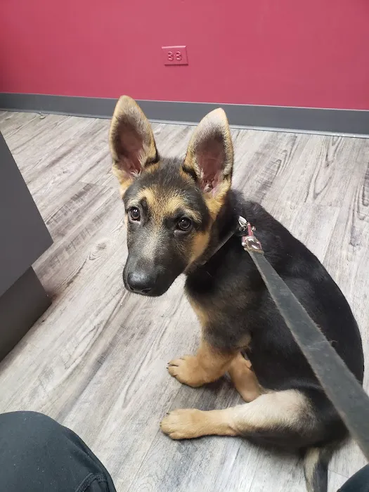 Kragness Animal Hospital 1