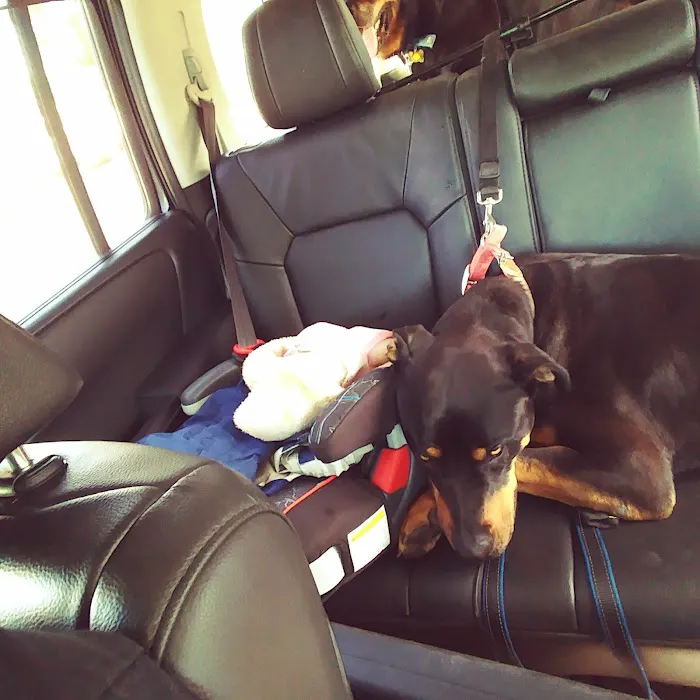 Kragness Animal Hospital 3