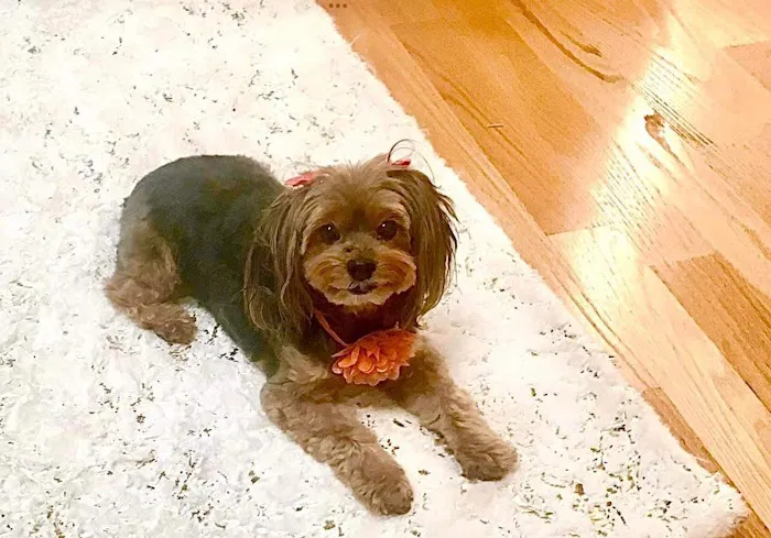 Kragness Animal Hospital 8
