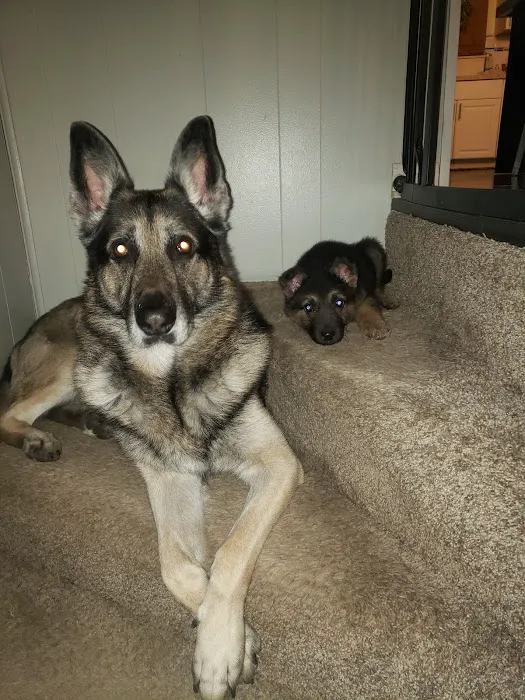Kragness Animal Hospital 4