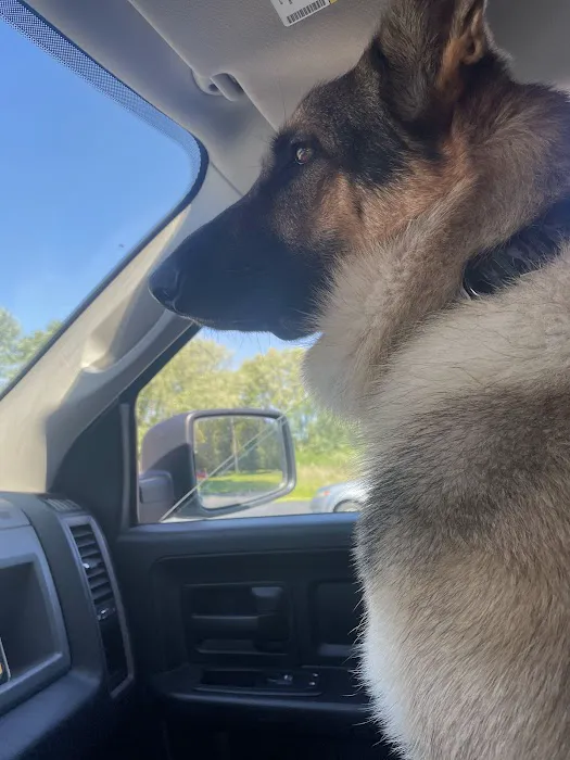 Plum Creek Regional Animal Medical Center 12