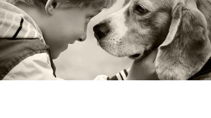 Plum Creek Regional Animal Medical Center 12