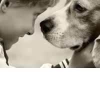 Plum Creek Regional Animal Medical Center ico