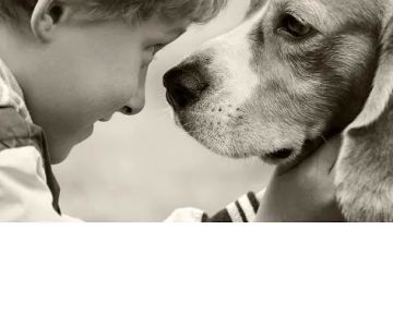 Plum Creek Regional Animal Medical Center
